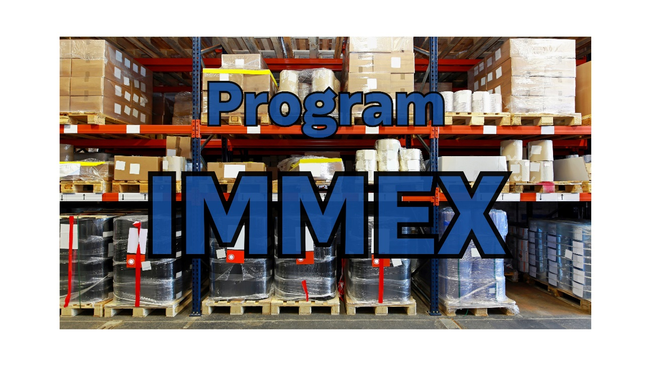 IMMEX_1_ING